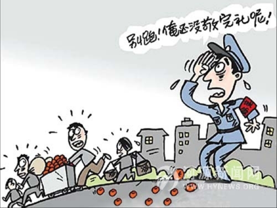 政治公开课之依法行政3.ppt_第2页