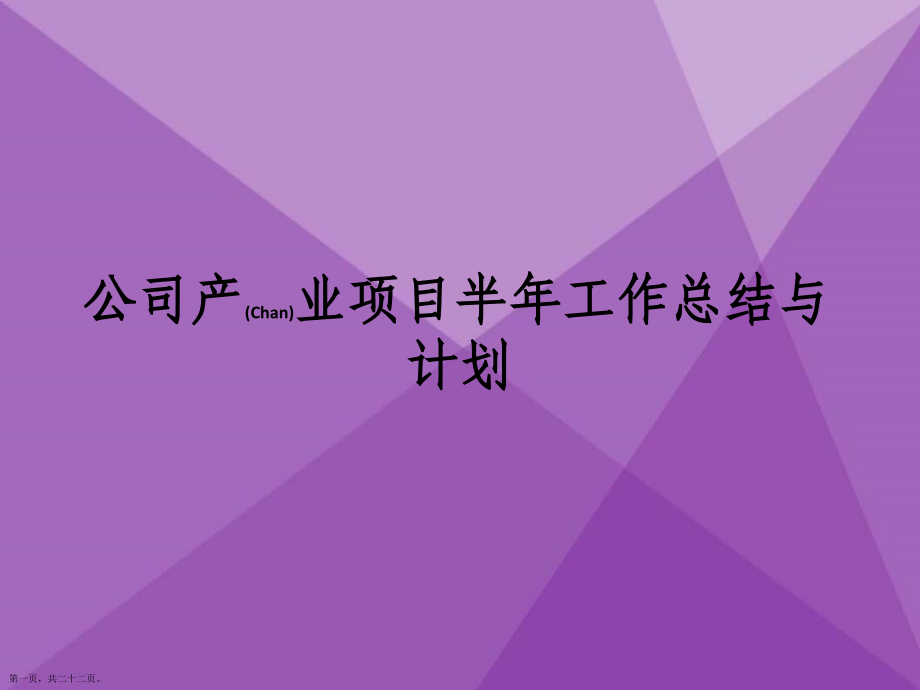 公司产业项目半年工作总结与计划借鉴范文.pptx_第1页