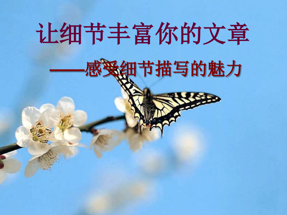 初中作文细节描写-课件.ppt.ppt.ppt_第1页