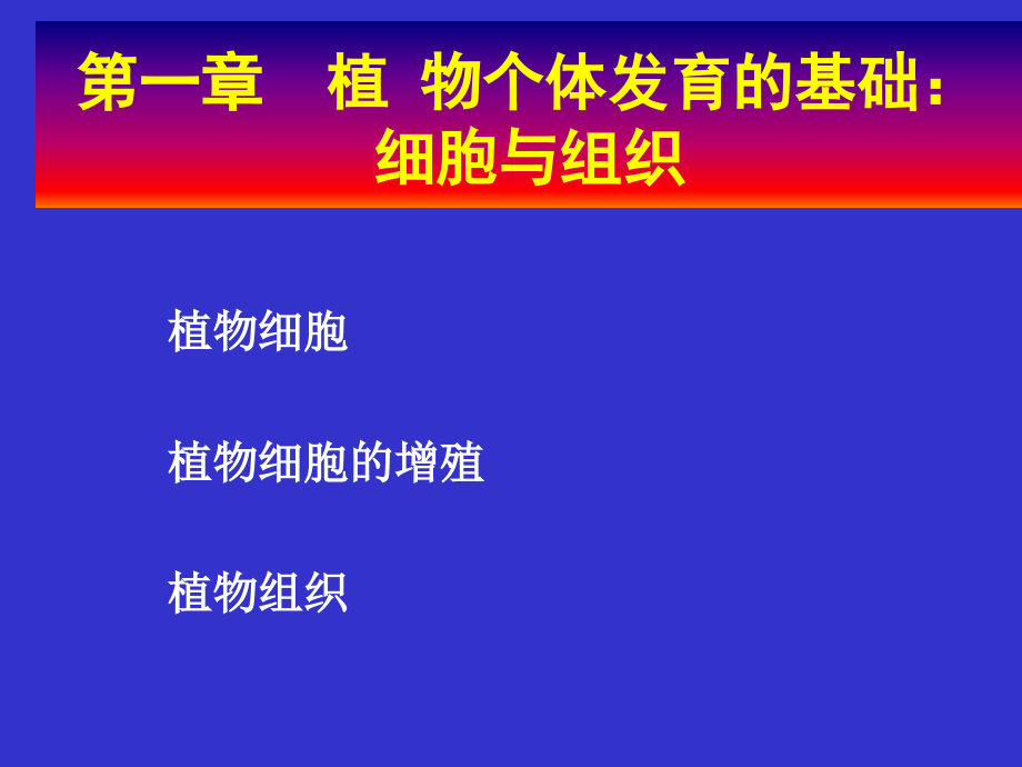第一章 植物个体发育的基础：细胞与组织.ppt_第1页
