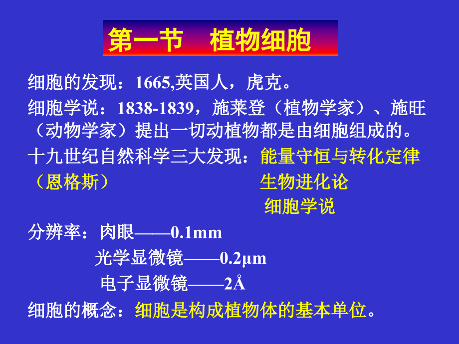 第一章 植物个体发育的基础：细胞与组织.ppt_第2页