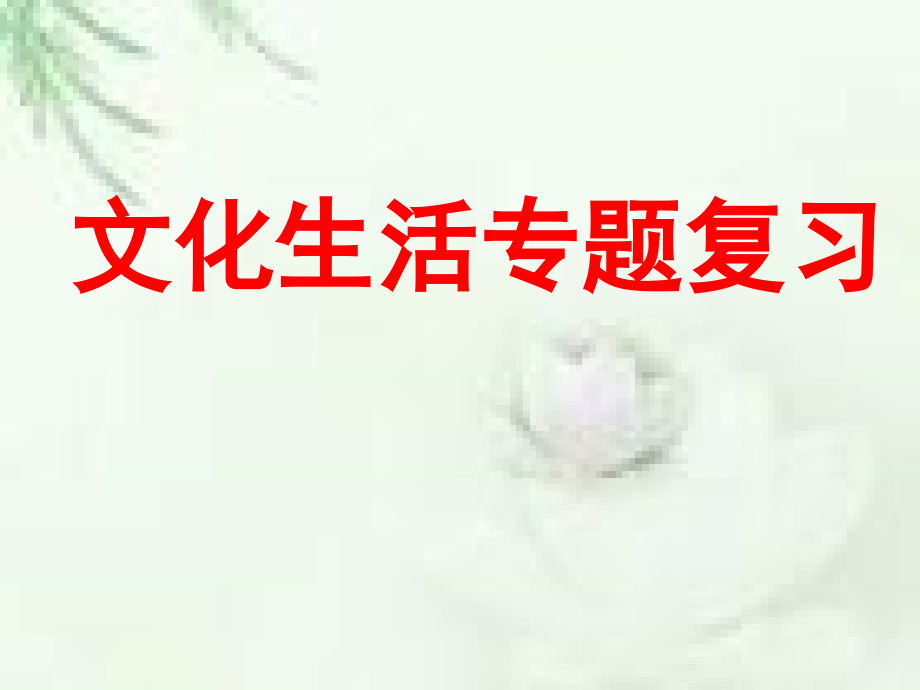 《文化生活》专题复习(课件).ppt_第1页