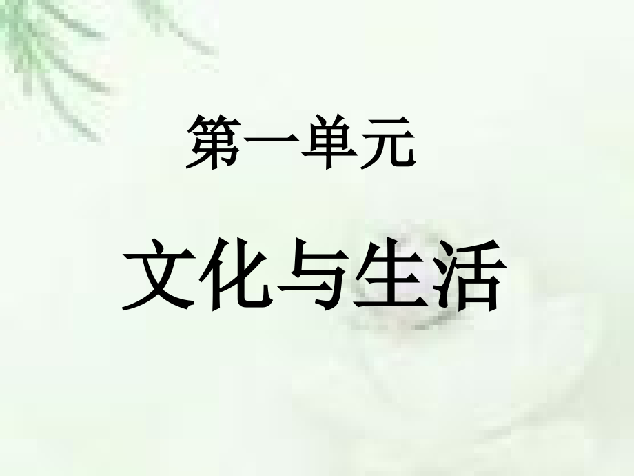 《文化生活》专题复习(课件).ppt_第2页