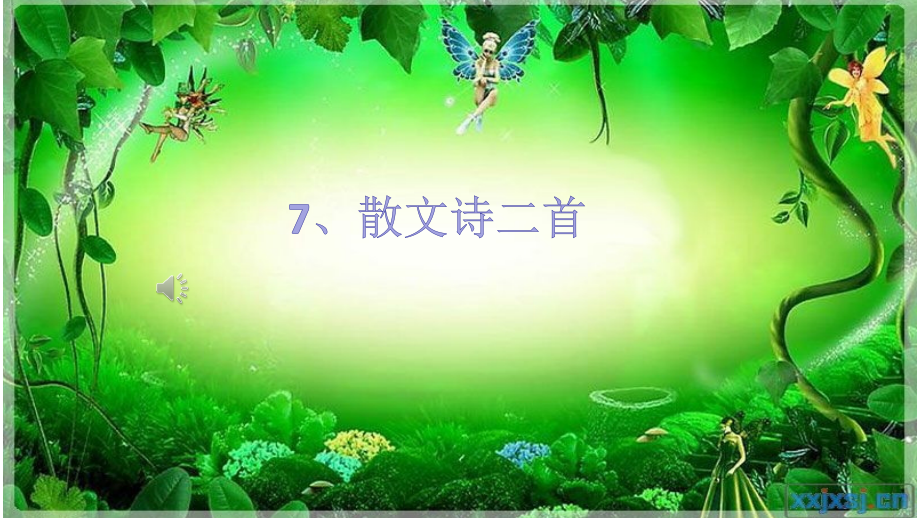 荷叶-母亲.pptx_第1页