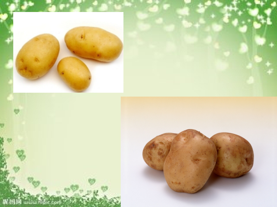 土豆变变变.ppt_第2页