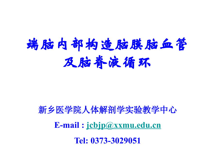 部构造脑膜脑血管及脑脊液循环.ppt_第1页