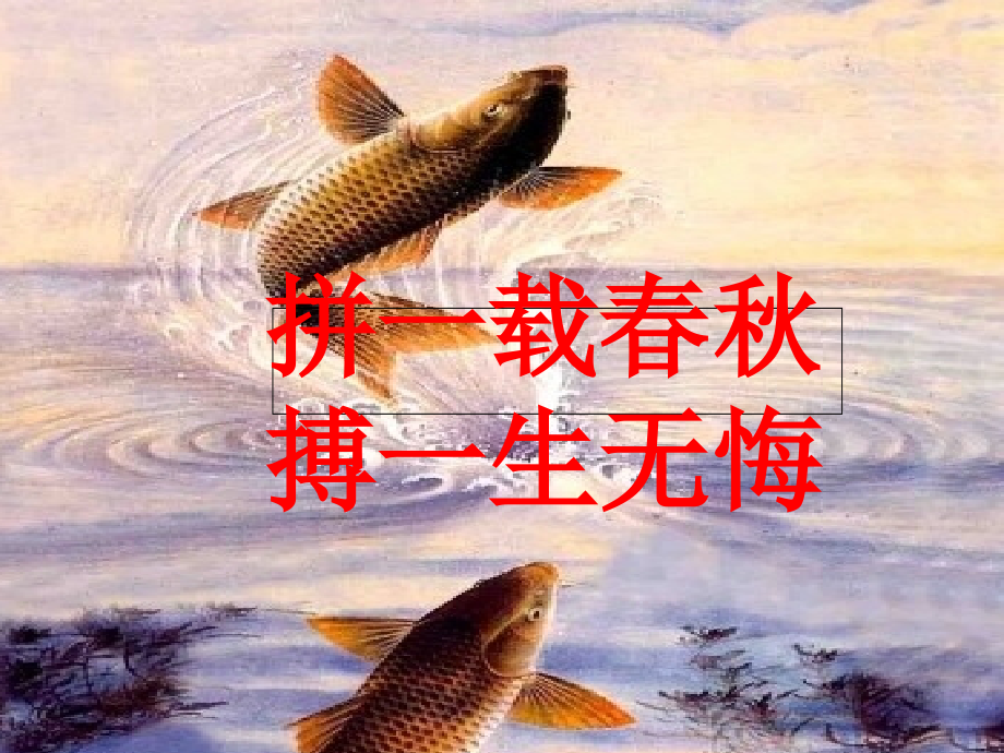 练习九辛弃疾.ppt_第1页