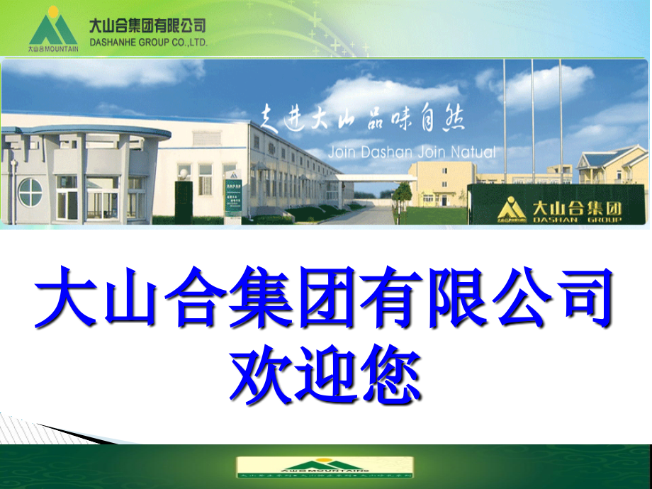 上海大山合集团有限公司.ppt_第1页