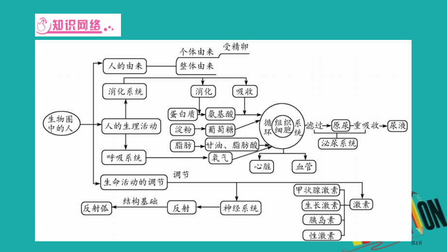 中考生物总复习知能综合突破专题3生物圈中的人市赛课公开课一等奖省名师优质课获奖PPT课件.pptx_第2页