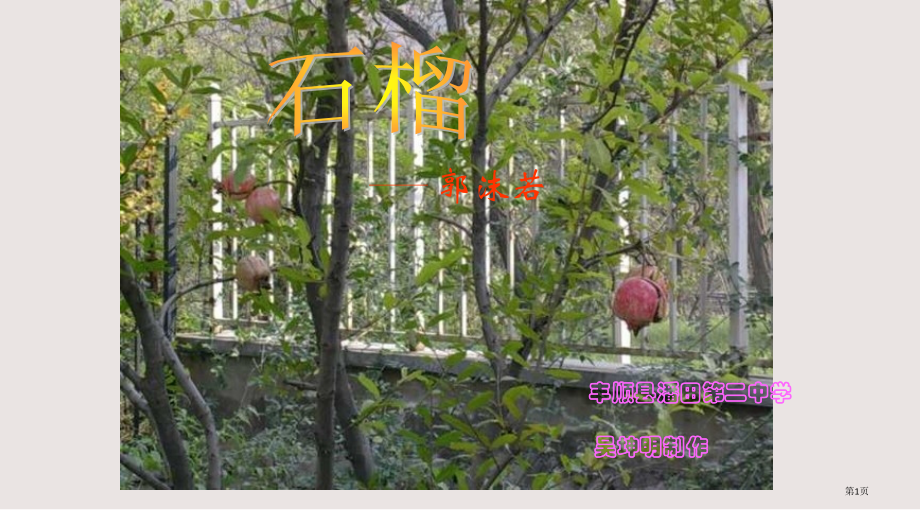 七年级下石榴语文版省公开课一等奖全国示范课微课金奖PPT课件.pptx_第1页