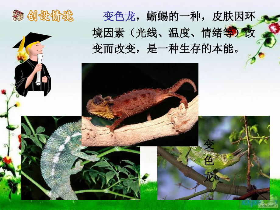 契诃夫《变色龙》省公开课一等奖全国示范课微课金奖PPT课件.pptx_第2页