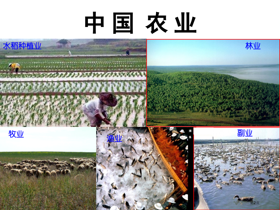 中国农业高考地理复习省公开课一等奖全国示范课微课金奖PPT课件.pptx_第2页