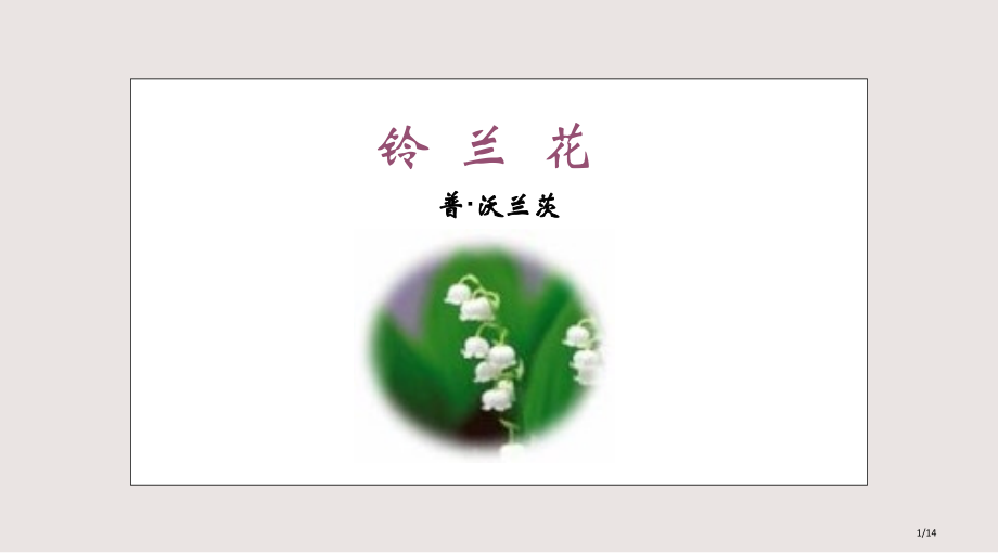铃兰花公开课PPT课件市公开课一等奖省赛课微课金奖PPT课件.pptx_第1页