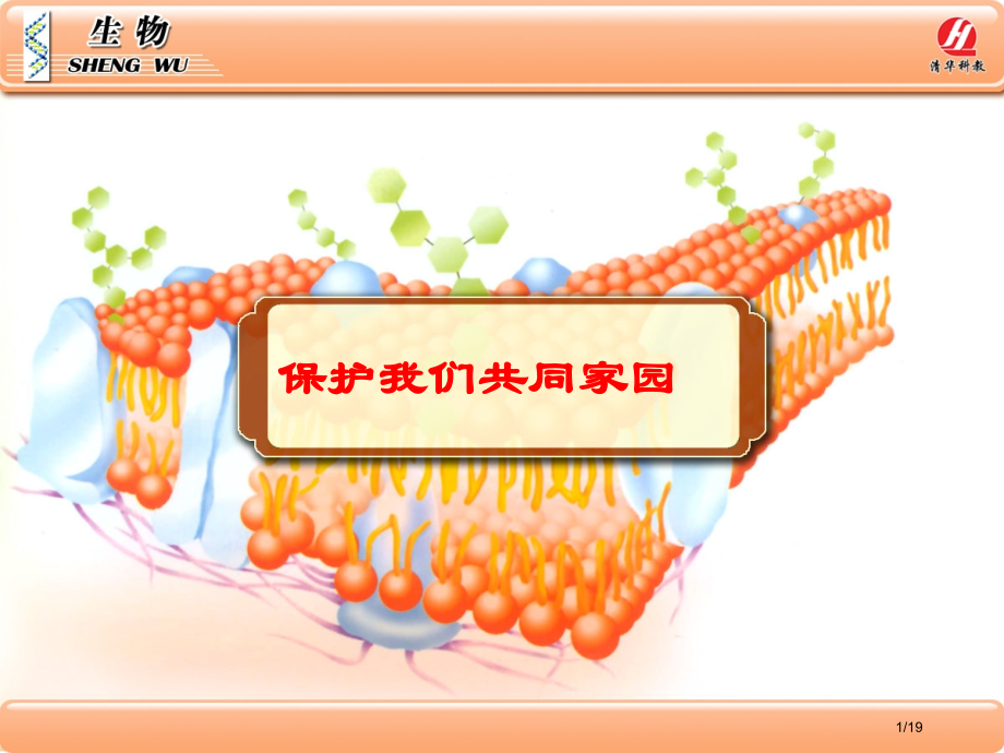 高中生物必修三保护我们共同的家园省公开课金奖全国赛课一等奖微课获奖PPT课件.pptx_第1页