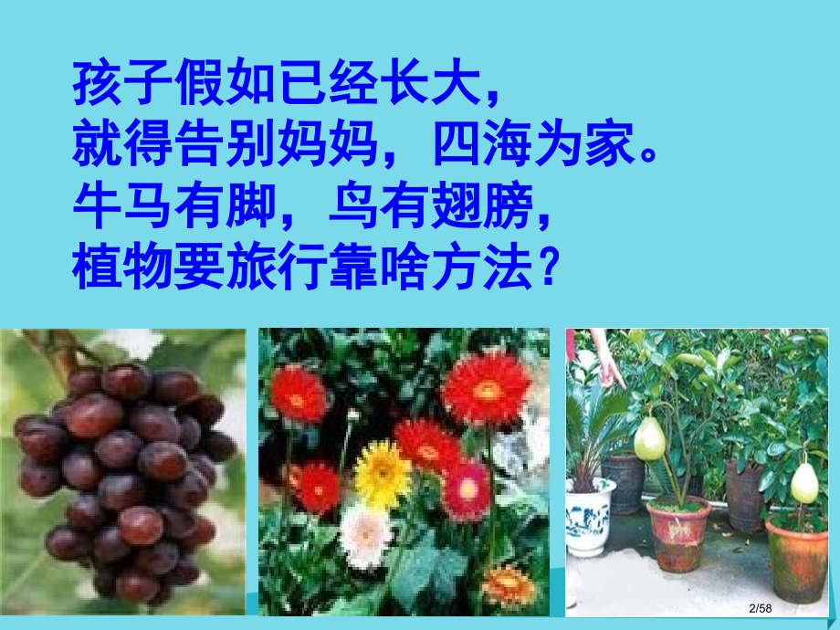 二年级语文上册第11课植物妈妈有办法省公开课一等奖新名师优质课获奖PPT课件.pptx_第2页