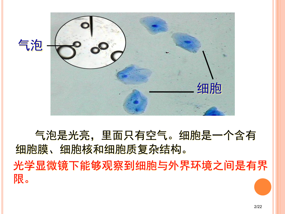 生物优质课省公开课一等奖全国示范课微课金奖PPT课件.pptx_第2页