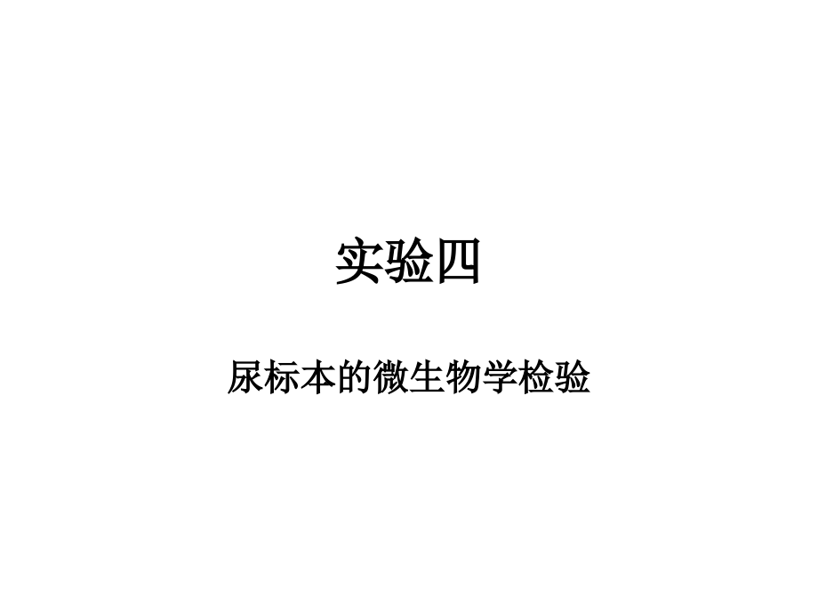实验四-尿标本的微生物学检验.pptx_第1页