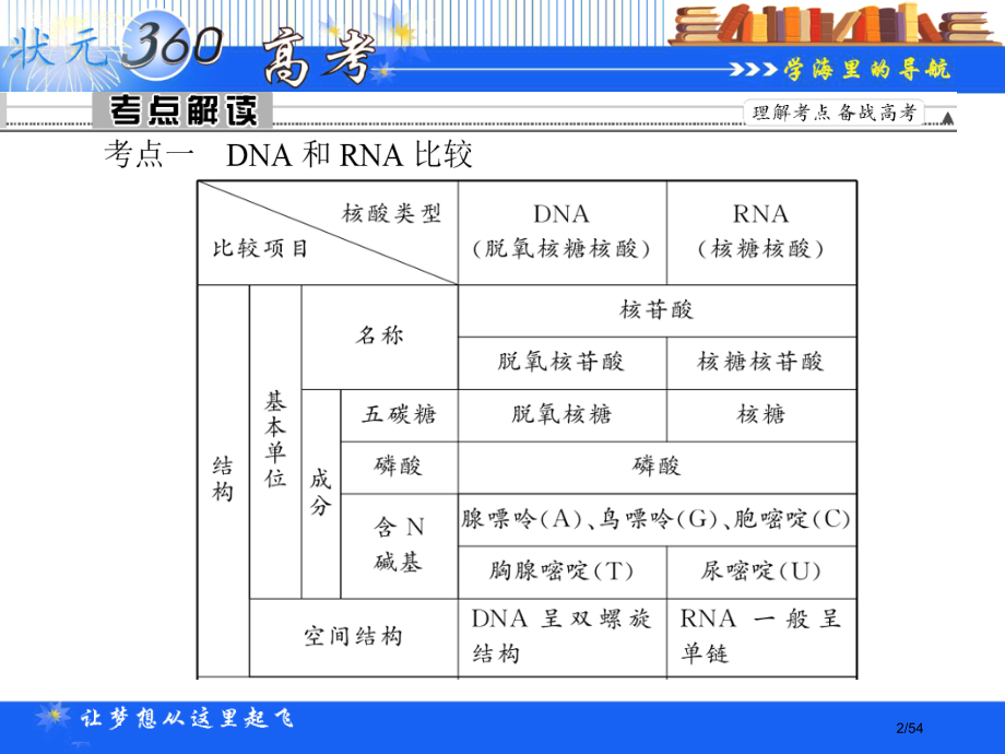 高考生物一轮总复习基础2.3.3基因的表达.pptx_第2页