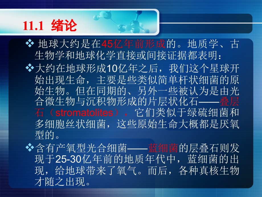 微生物学-11微生物的进化、系统发育和分类鉴定.ppt_第1页