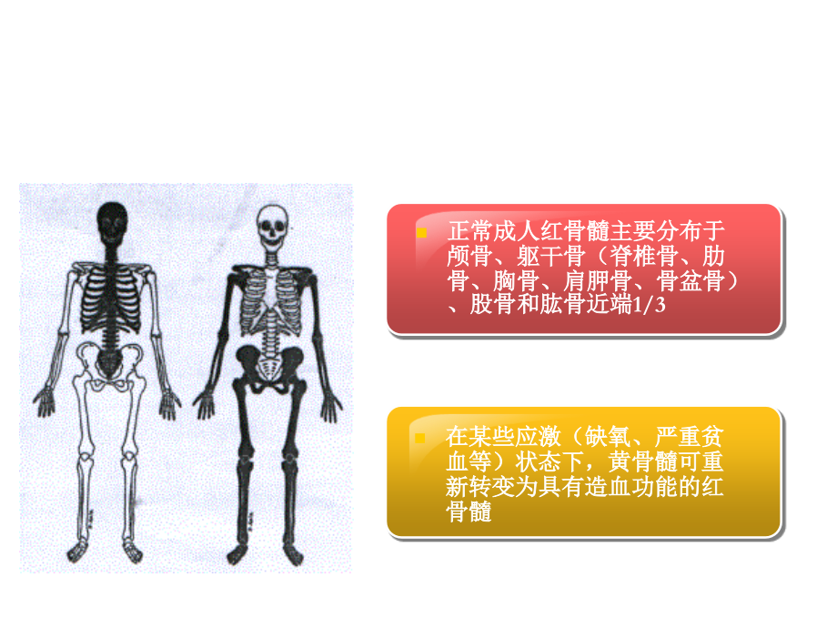 影像核医学第12章.ppt_第2页