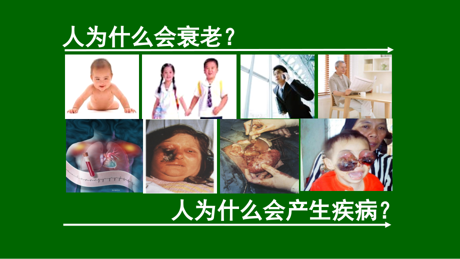 富氢好壹杯(B款).ppt_第2页