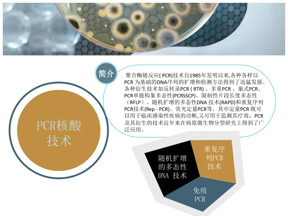 微生物的分子生物学检测方法.ppt_第2页