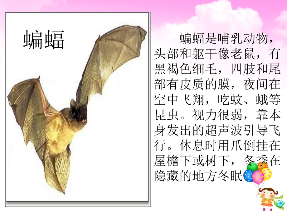 人教版四年级下册语文11.蝙蝠和雷达(完美优秀版).ppt_第2页