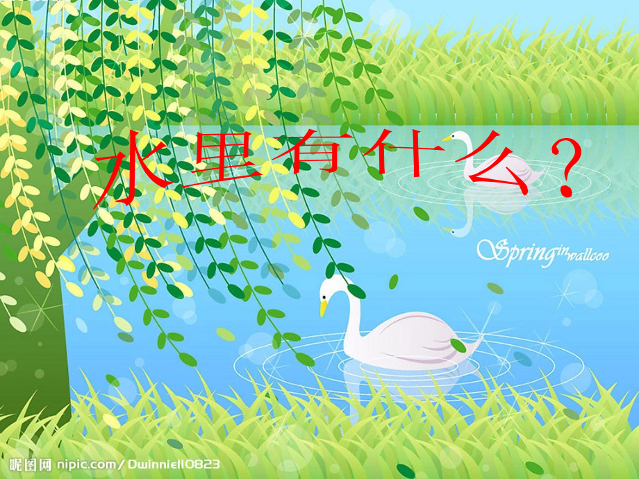 四年级科学上册水里有什么.ppt_第1页