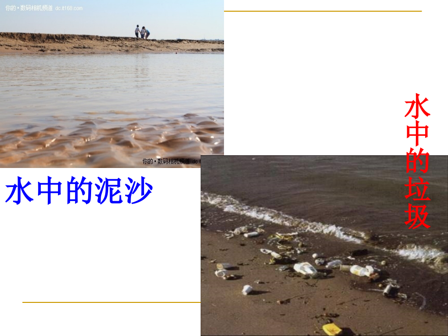 四年级科学上册水里有什么.ppt_第2页