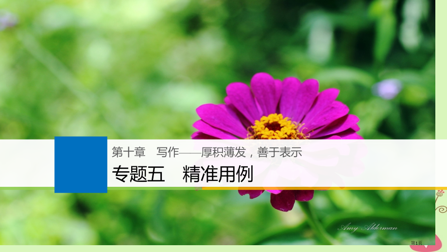 高考语文复习第十章写作-厚积薄发善于表达专题五精准用例市赛课公开课一等奖省名师优质课获奖课件.pptx_第1页