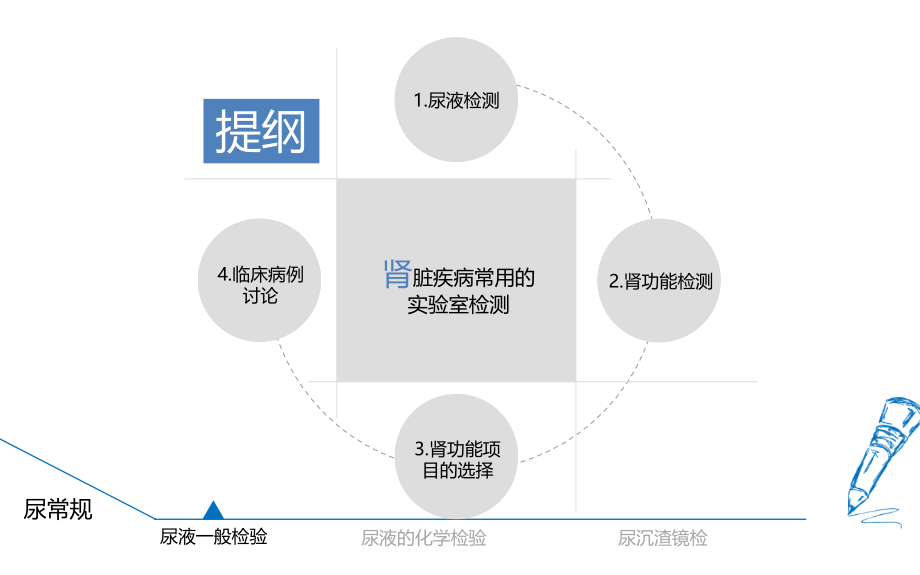 尿常规与肾功能实验室检测.ppt_第2页
