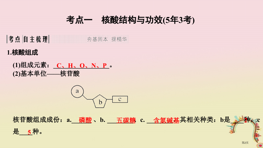 高考生物复习第二单元细胞的自我保障第4讲细胞中的核酸创新备考全国公开课一等奖百校联赛示范课赛课特等奖.pptx_第2页