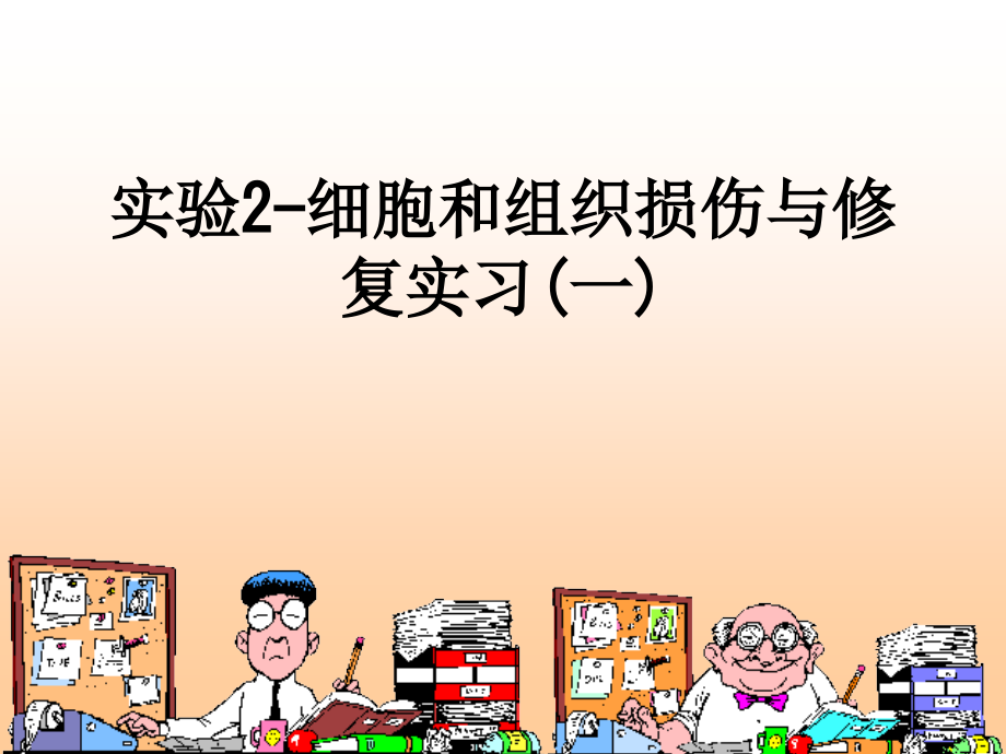 实验2-细胞和组织损伤与修复实习(一).ppt_第1页
