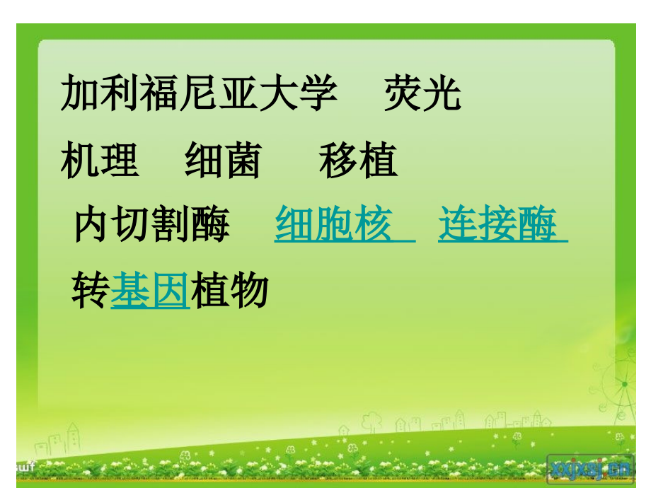 人造发光植物.ppt_第2页