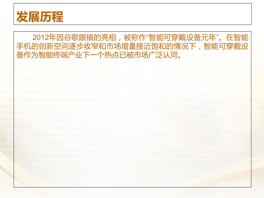 可穿戴设备.ppt_第2页