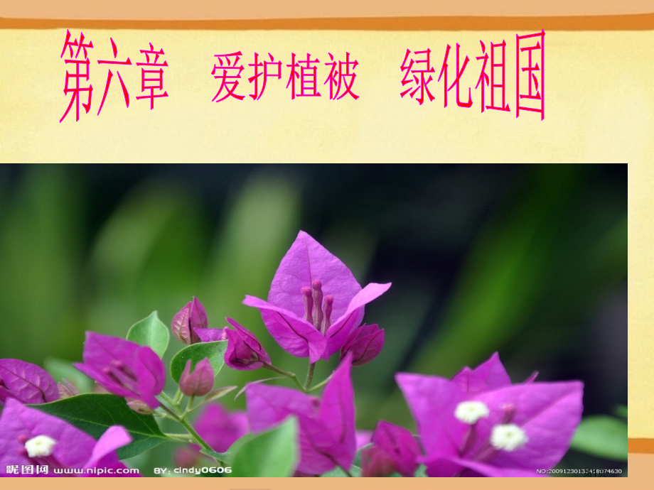 爱护植被绿化祖国市公开课一等奖省赛课微课金奖课件.pptx_第1页