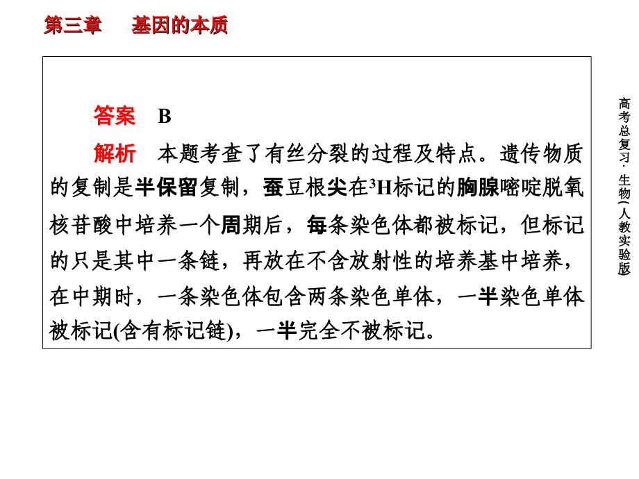 必修二：3-2-DNA分子的结构、复制与基因.ppt_第2页