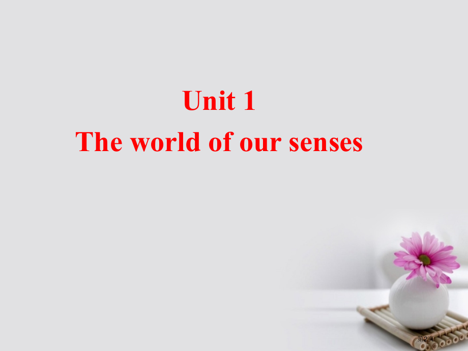 高中英语-Unit-1-The-world-of-our-senses-Project省公开课一等奖.pptx_第2页