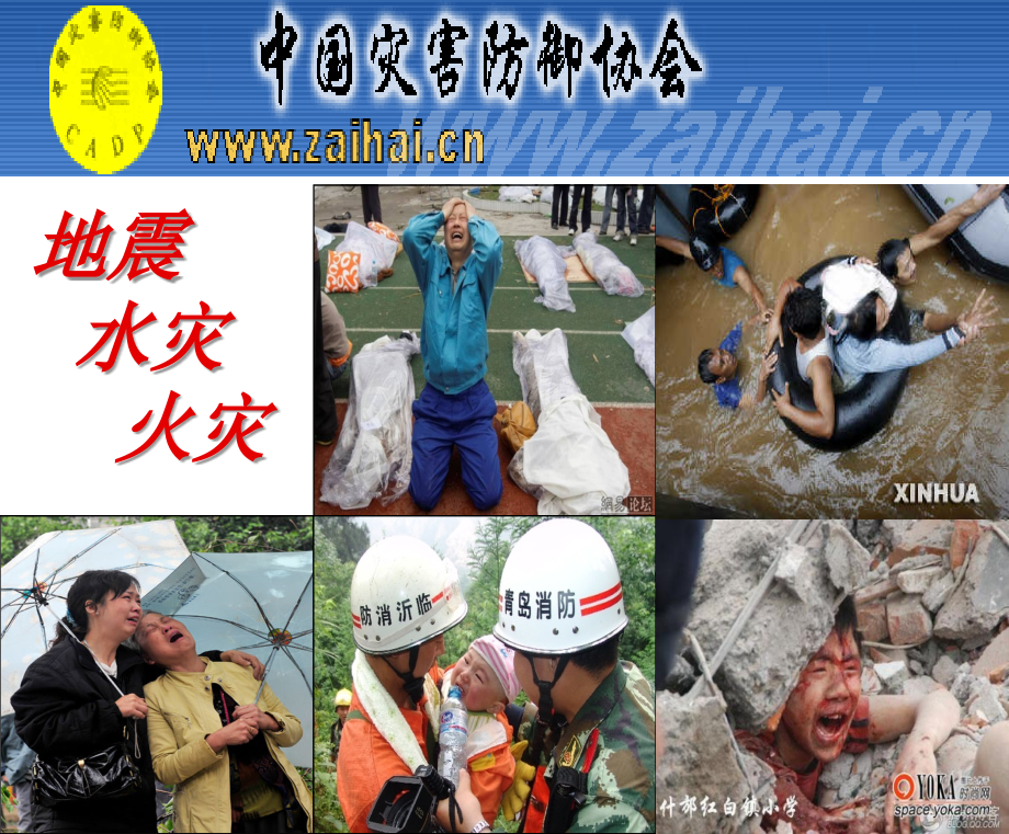 急救知识畅行产说会.ppt_第2页