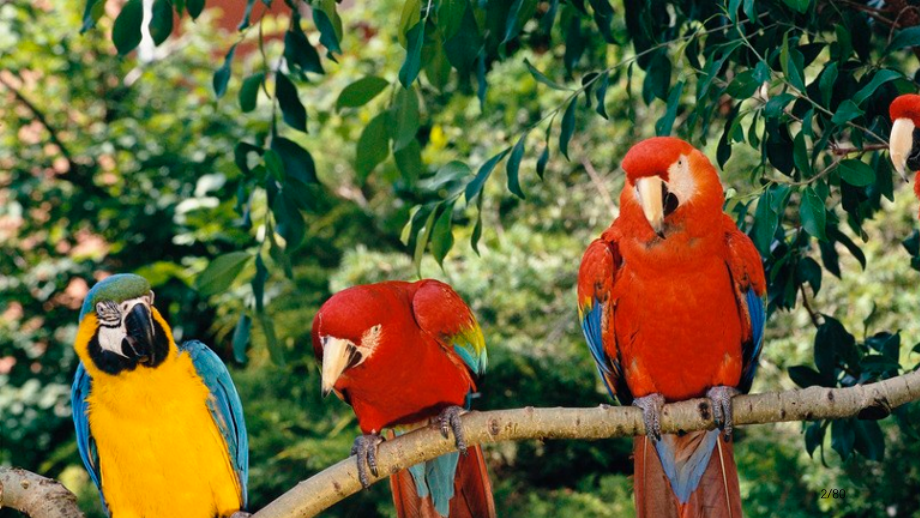 七步成诗--培训师授课技巧-06市公开课一等奖省赛课微课金奖课件.pptx_第2页