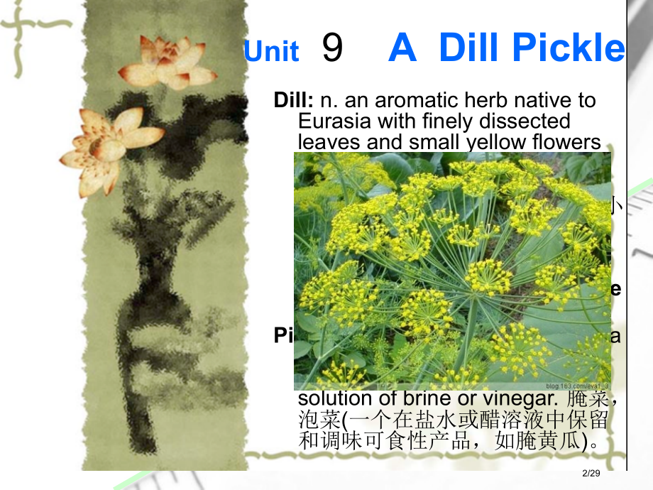 Unit-9-A-Dill-Pickle市公开课一等奖省赛课微课金奖课件.pptx_第2页