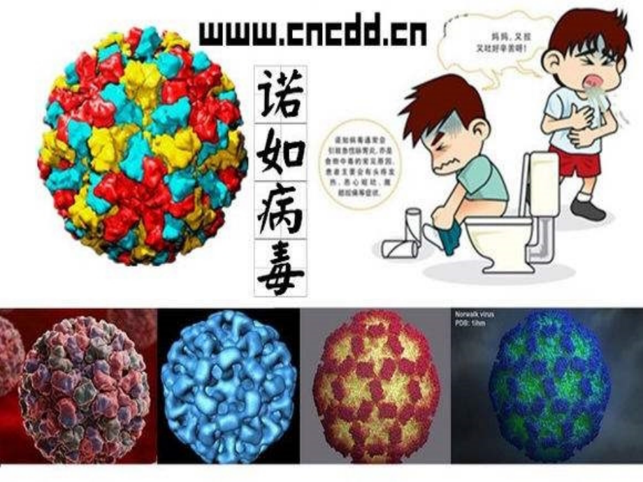 小儿常见传染病预防.ppt_第1页