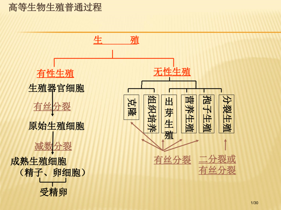 DNA是主要的遗传物质教学.pptx_第1页