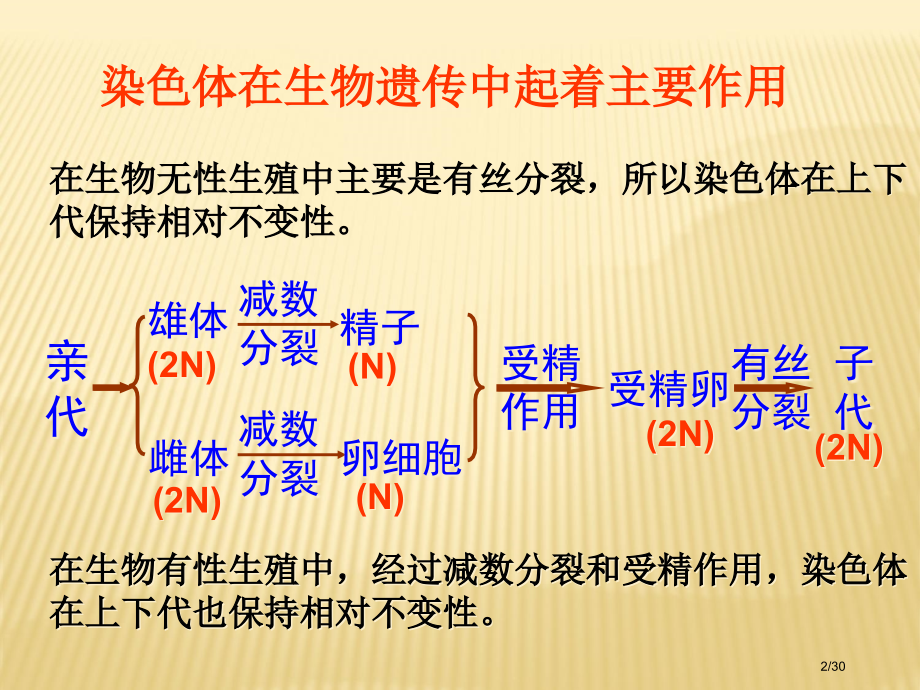 DNA是主要的遗传物质教学.pptx_第2页