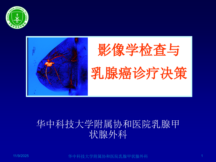 影像学检查与乳腺癌诊疗决策(2010).ppt_第1页