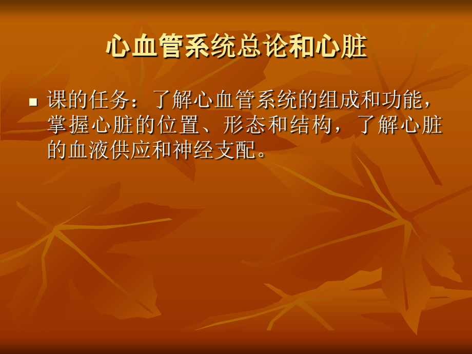 心血管系统解剖学02.ppt_第1页