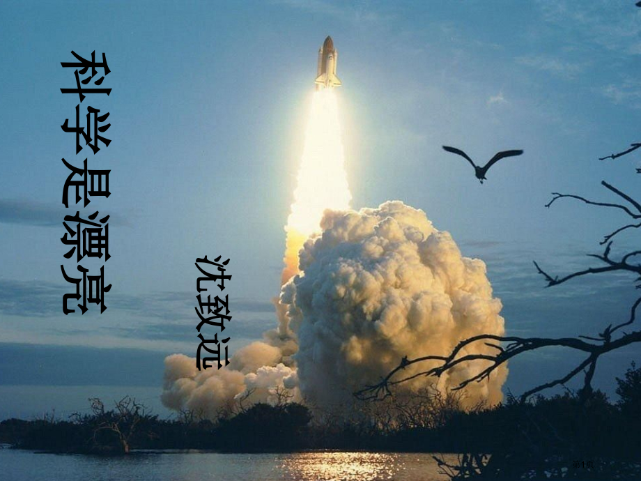 科学是美丽的-市公开课一等奖省赛课微课金奖课件.pptx_第1页