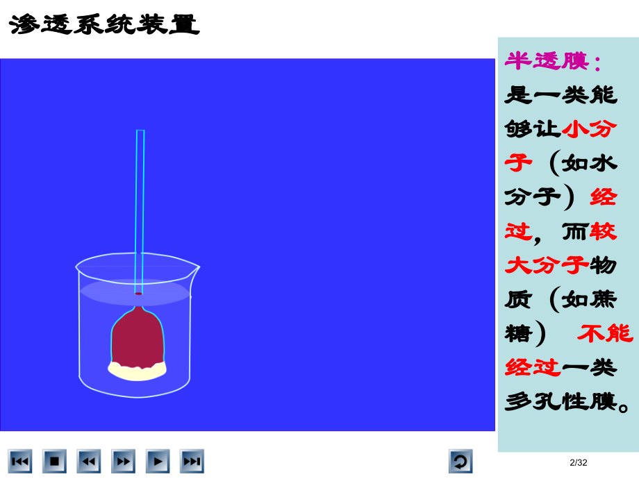 高中生物必修一物质跨膜运输的实例.pptx_第2页