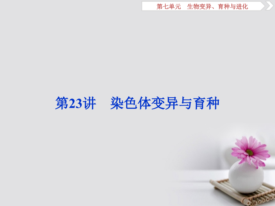 高考生物总复习第七单元生物变异育种与进化第23讲染色体变异与育种全国公开课一等奖百校联赛示范课赛课特.pptx_第1页