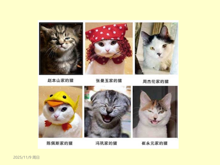 心理学入门专题.ppt_第2页